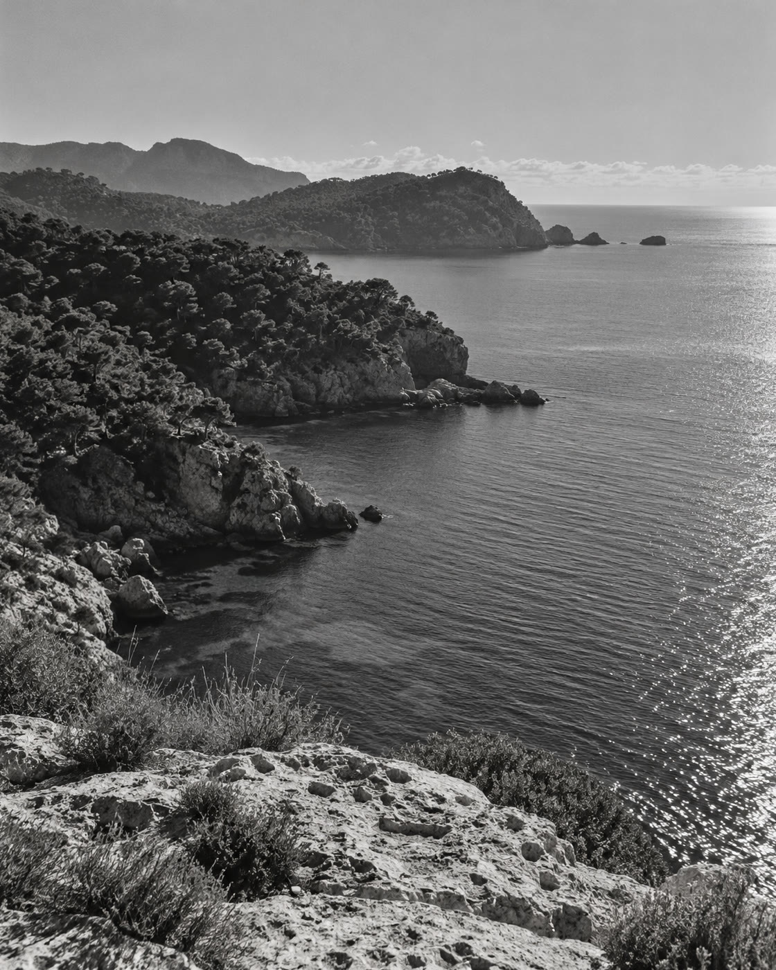 AI-created black-and-white Ibiza coastal mood study